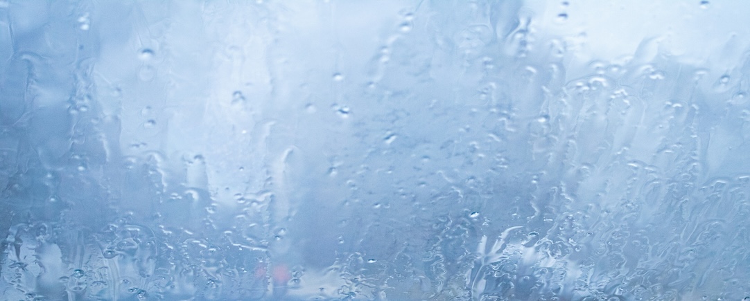 The Winter Where Everything Feels Off