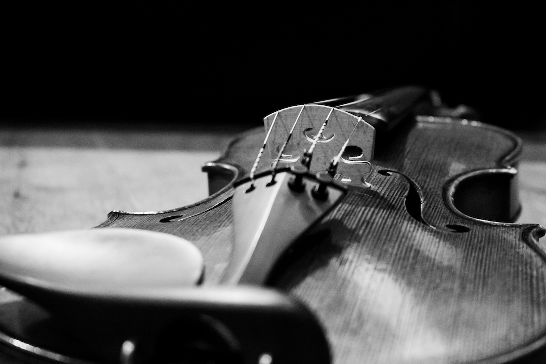 I bought a viola today